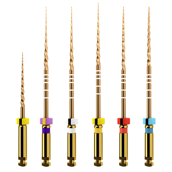 ProTaper GOLD file assort., 31 mm, 6 stk.