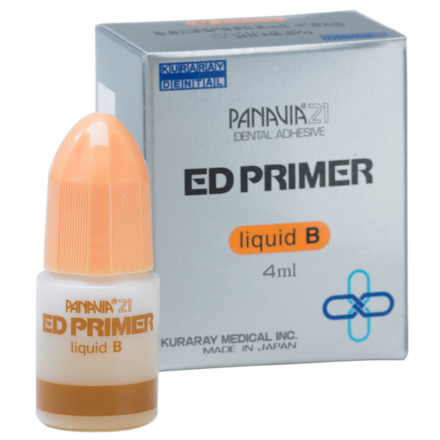 Panavia 21 ED Primer B
