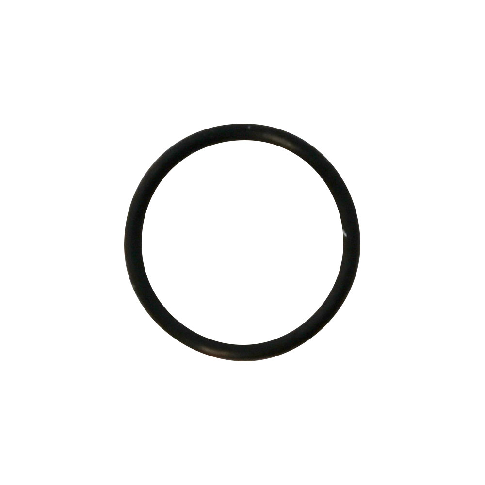 O-Ring, BienAir/Flex Motor, stk