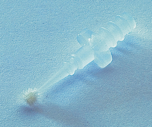 Fiberspidser t/penselskaft, 100 stk.